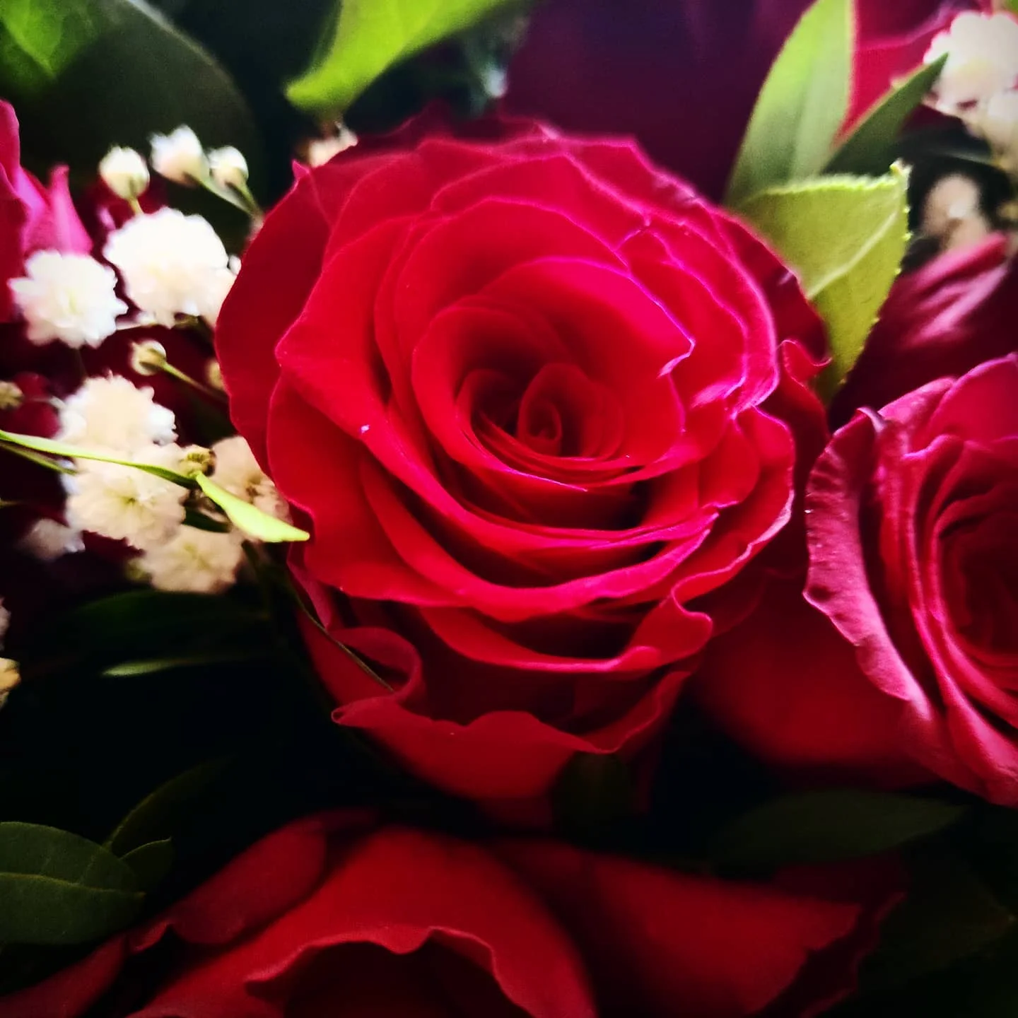 Photo 1 from Benjamin Simier’s Instagram post: Beautiful flowers 🌹