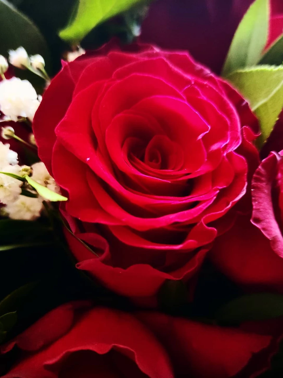 Photo 1 from Benjamin Simier’s Instagram post: Beautiful flowers 🌹