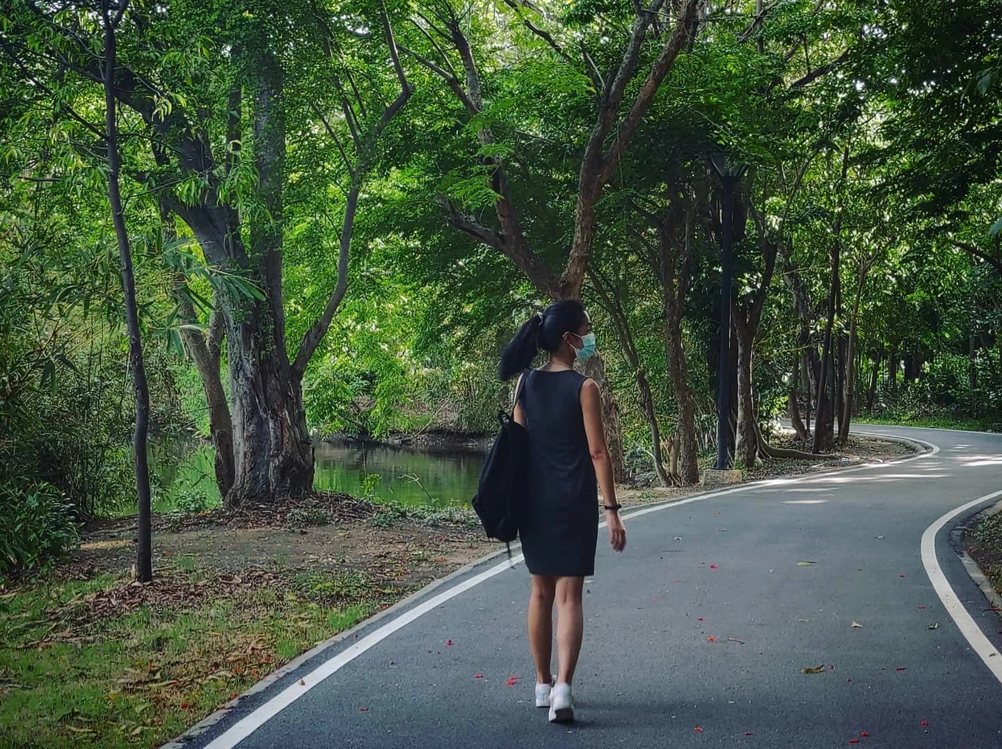 Photo 1 from Benjamin Simier’s Instagram post: Just walking in a natural park in Thailand... 🇹🇭