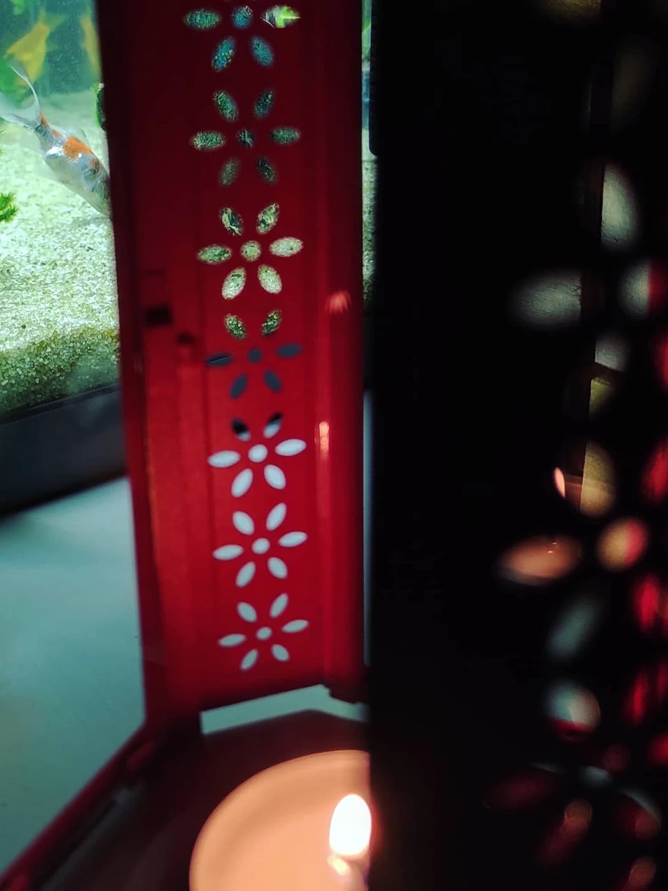 Photo 1 from Benjamin Simier’s Instagram post: Fish in the lantern 🏮 🤔🤔