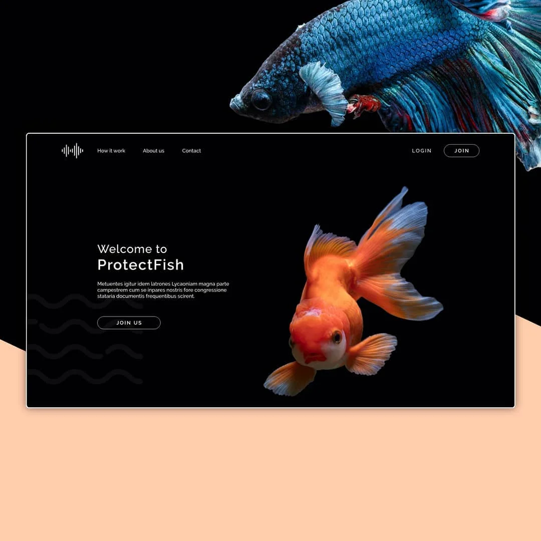 Photo 1 from Benjamin Simier’s Instagram post: Webdesign website about fish 🐟🐠🐡