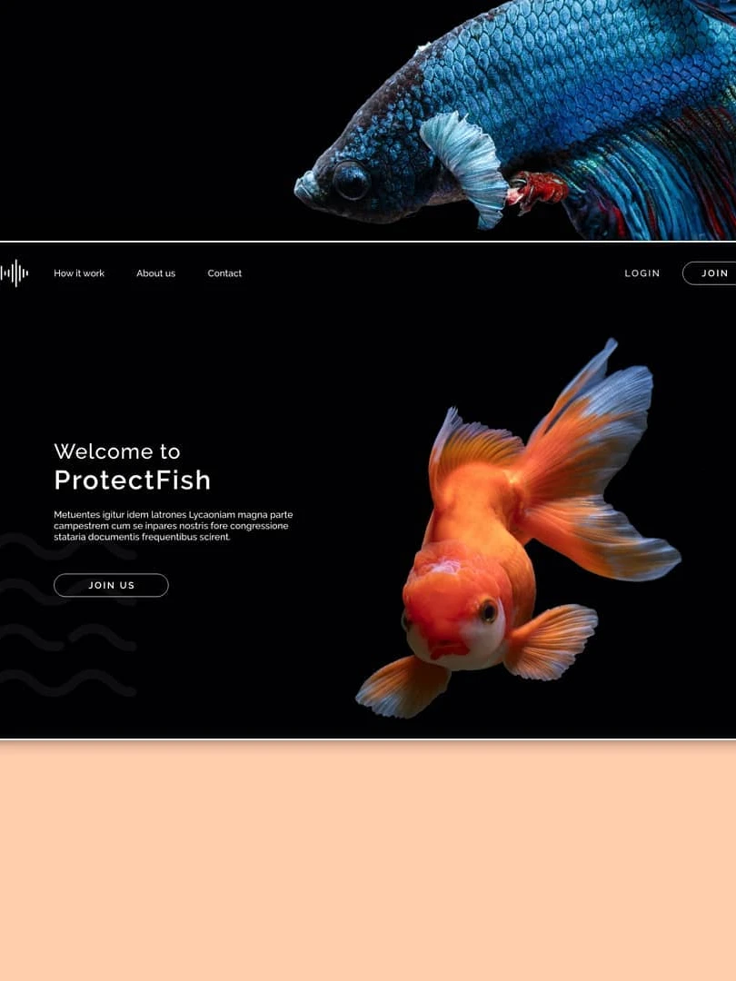Photo 1 from Benjamin Simier’s Instagram post: Webdesign website about fish 🐟🐠🐡