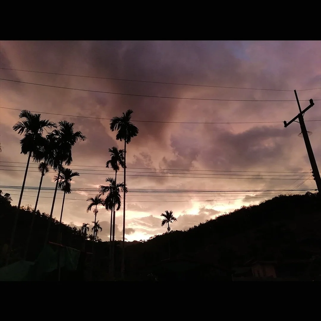Photo 1 from Benjamin Simier’s Instagram post: Betel palm tree and beautiful sky in southern Thailand at sunset 🇹🇭🇹🇭