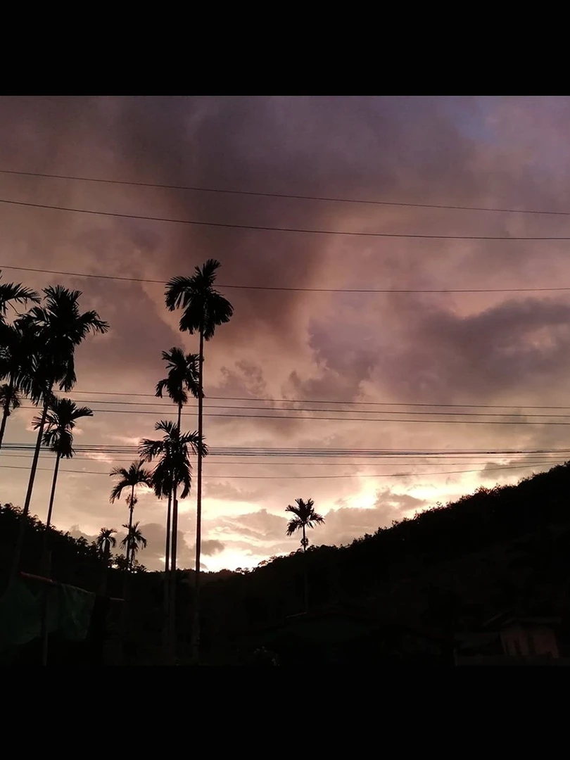 Photo 1 from Benjamin Simier’s Instagram post: Betel palm tree and beautiful sky in southern Thailand at sunset 🇹🇭🇹🇭