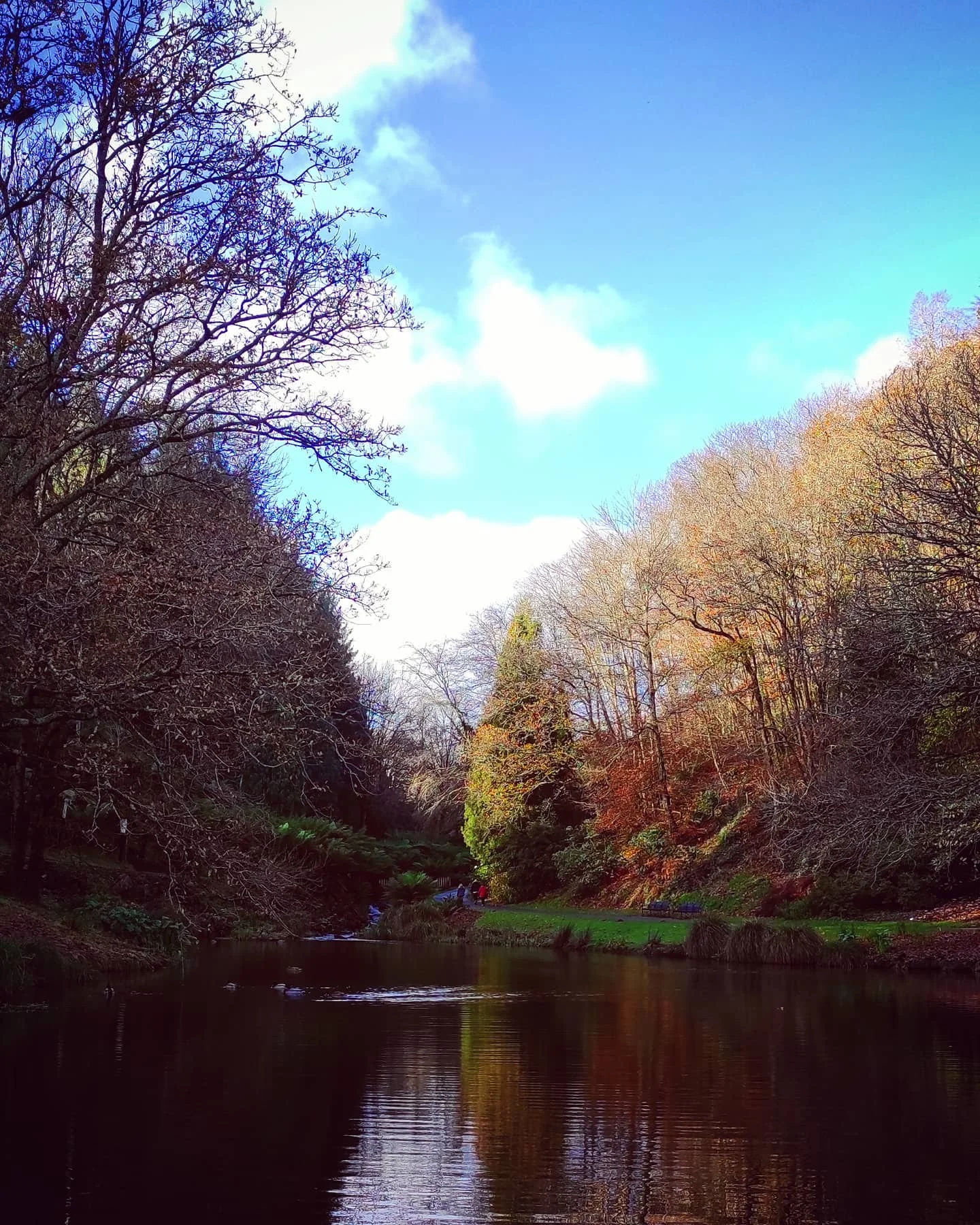 Photo 1 from Benjamin Simier’s Instagram post: A small forest walk in Bretagne, France 🌳🌳🌳🐿️
