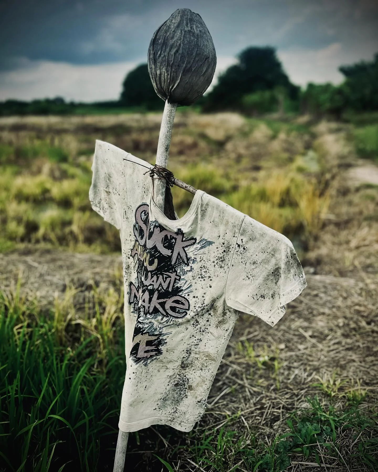 Photo 1 from Benjamin Simier’s Instagram post: May the spirits of the fields keep these crops safe 🇹🇭