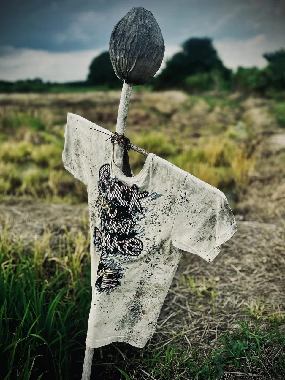 Photo 1 from Benjamin Simier’s Instagram post: May the spirits of the fields keep these crops safe 🇹🇭