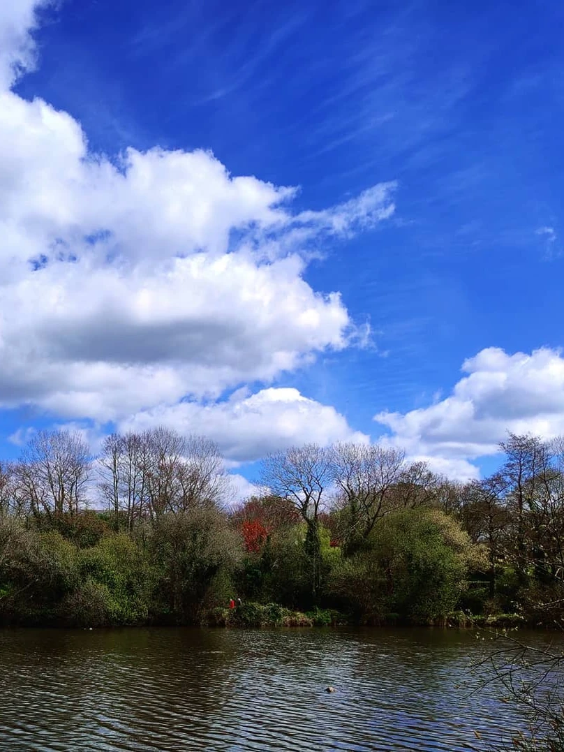 Photo 1 from Benjamin Simier’s Instagram post: Just a walk around a lake under a blue sky with clouds ☁️☁️ in Bretagne, France 🇫🇷