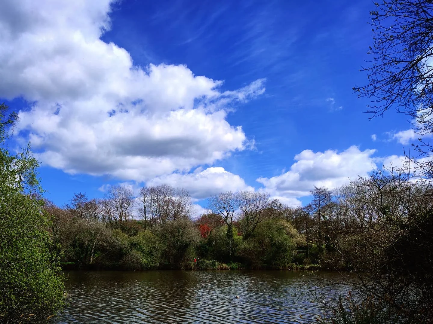 Photo 1 from Benjamin Simier’s Instagram post: Just a walk around a lake under a blue sky with clouds ☁️☁️ in Bretagne, France 🇫🇷