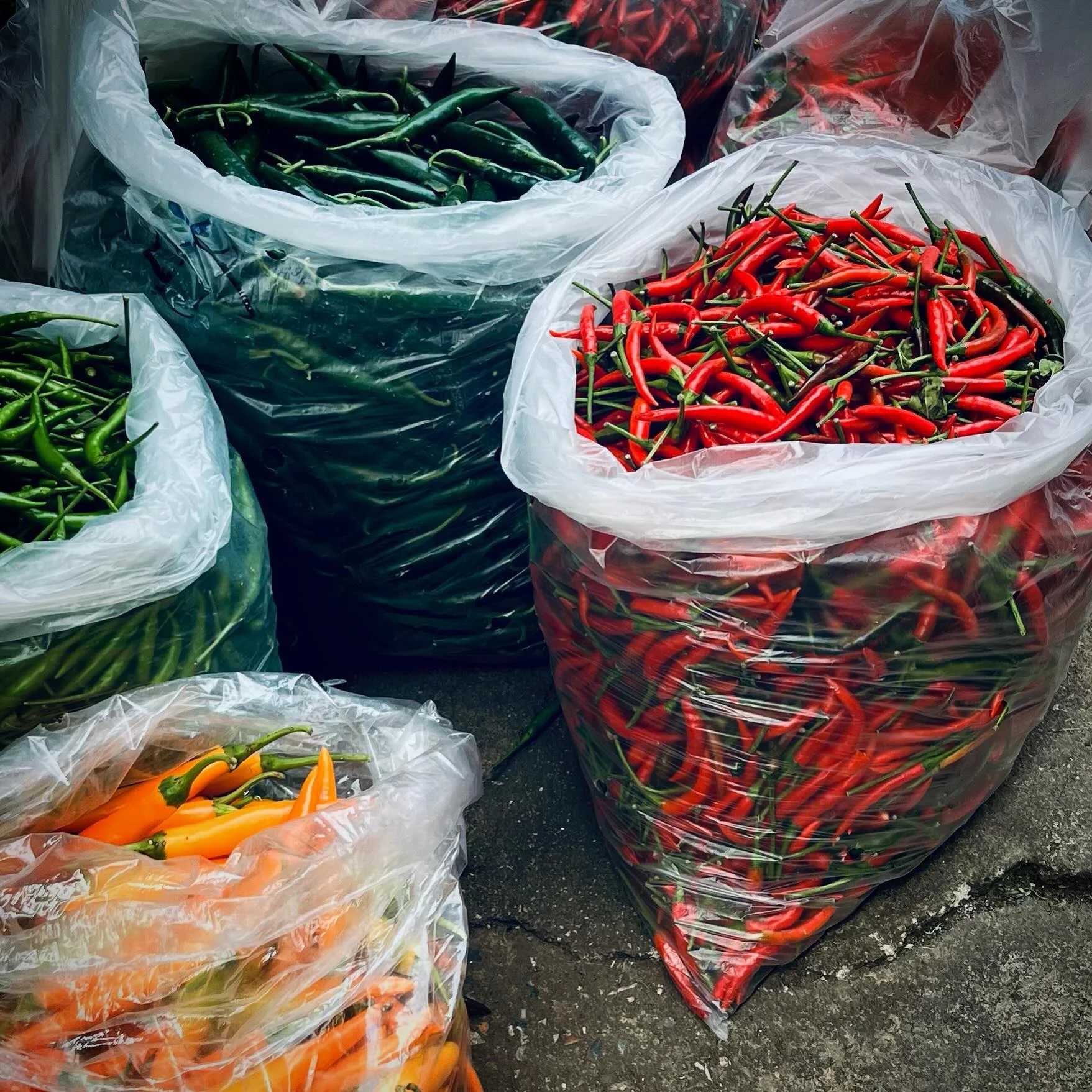 Photo 1 from Benjamin Simier’s Instagram post: Thailand colors 🇹🇭