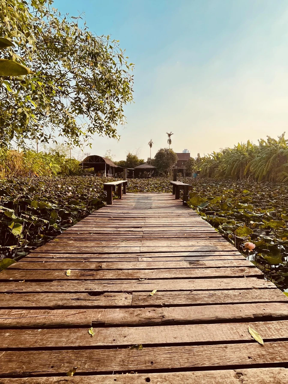 Photo 1 from Benjamin Simier’s Instagram post: Discover a beautiful and peaceful place at Bangkok 😌