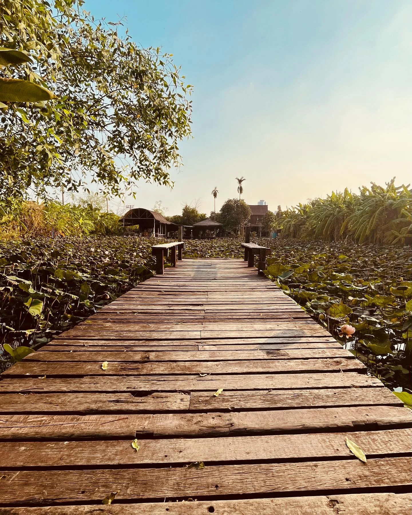 Photo 1 from Benjamin Simier’s Instagram post: Discover a beautiful and peaceful place at Bangkok 😌