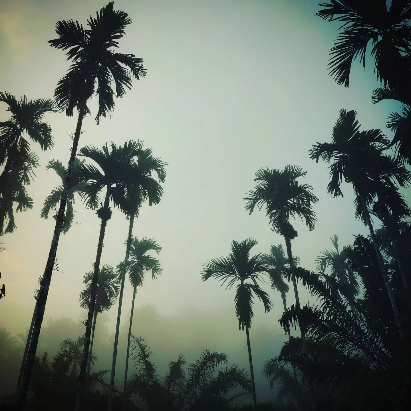 Photo 1 from Benjamin Simier’s Instagram post: Ranong, Thailand 🇹🇭