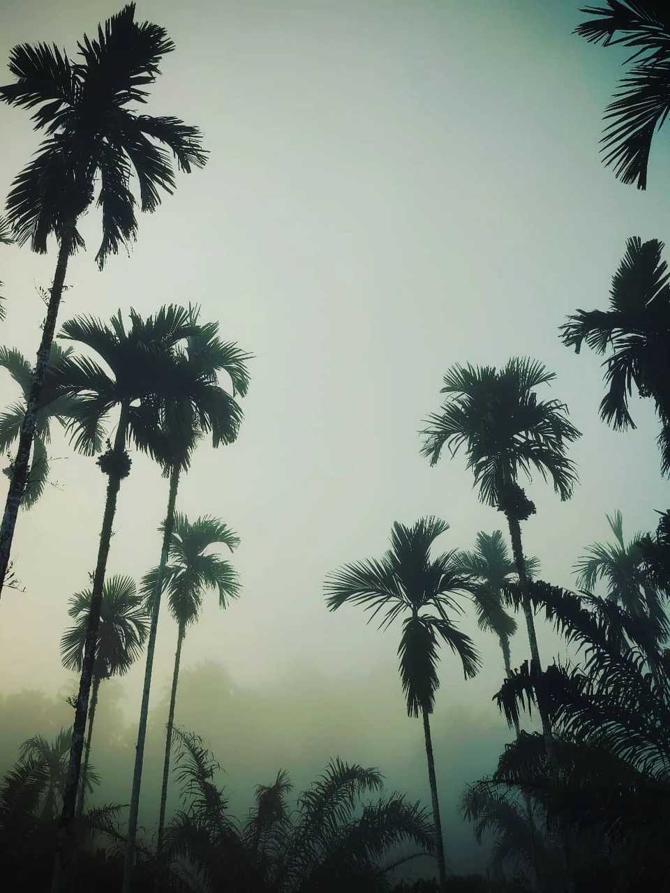 Photo 1 from Benjamin Simier’s Instagram post: Ranong, Thailand 🇹🇭