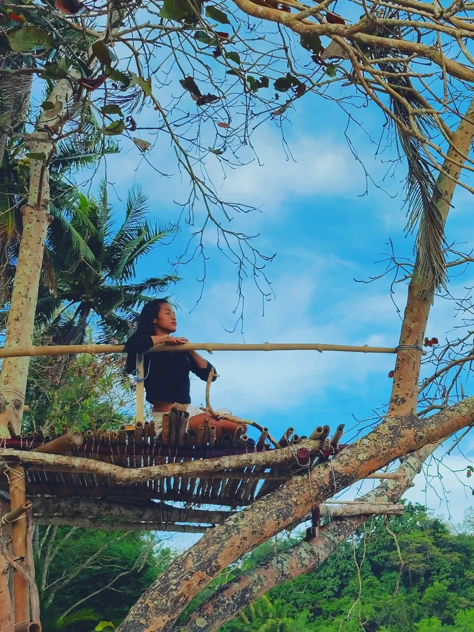 Photo 1 from Benjamin Simier’s Instagram post: thai girl in the tree 🌴