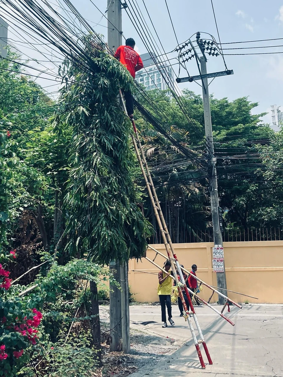 Photo 1 from Benjamin Simier’s Instagram post: In Thailand, people work in flip-flops 🩴 and on bamboo ladders... 🪜