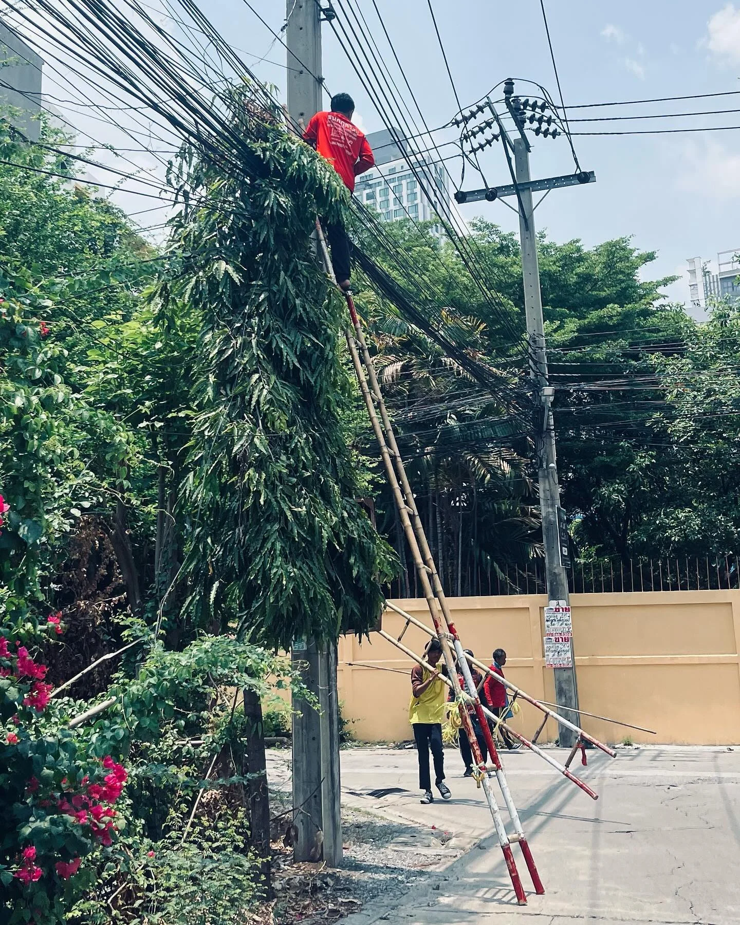 Photo 1 from Benjamin Simier’s Instagram post: In Thailand, people work in flip-flops 🩴 and on bamboo ladders... 🪜