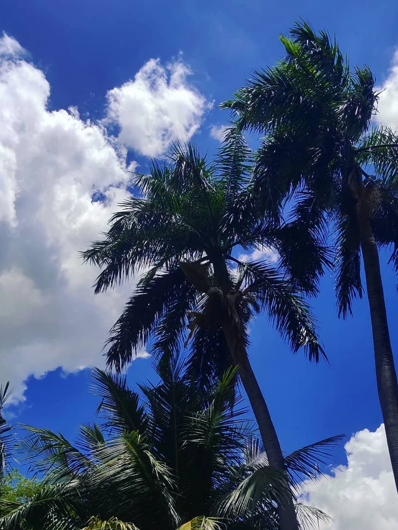 Photo 1 from Benjamin Simier’s Instagram post: Thailand sky 🇹🇭