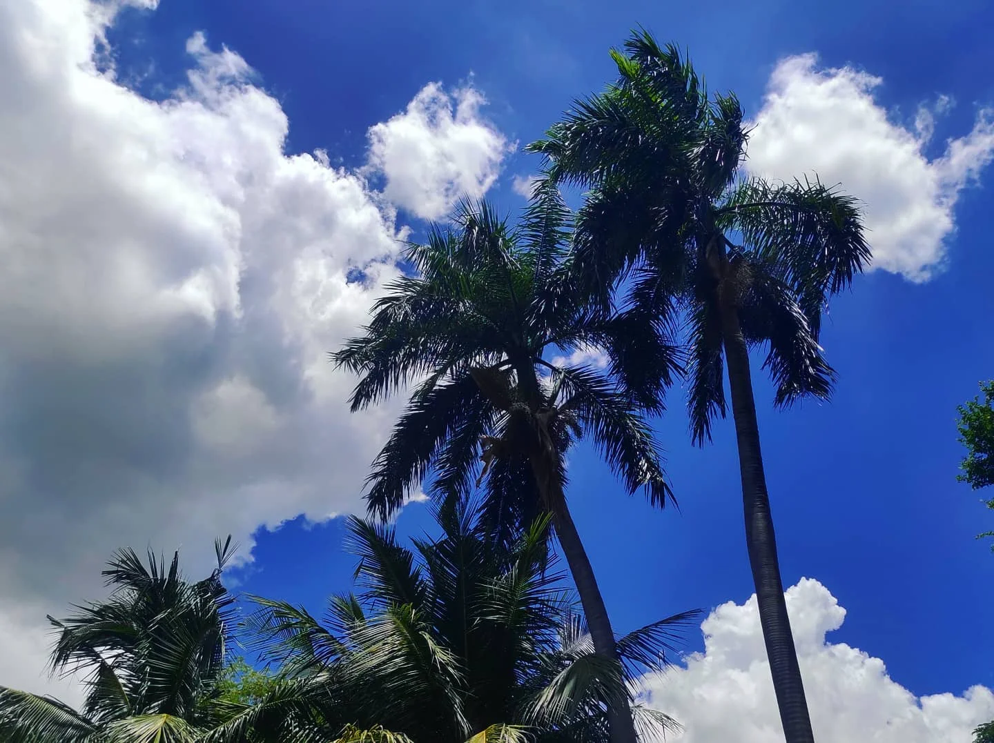 Photo 1 from Benjamin Simier’s Instagram post: Thailand sky 🇹🇭