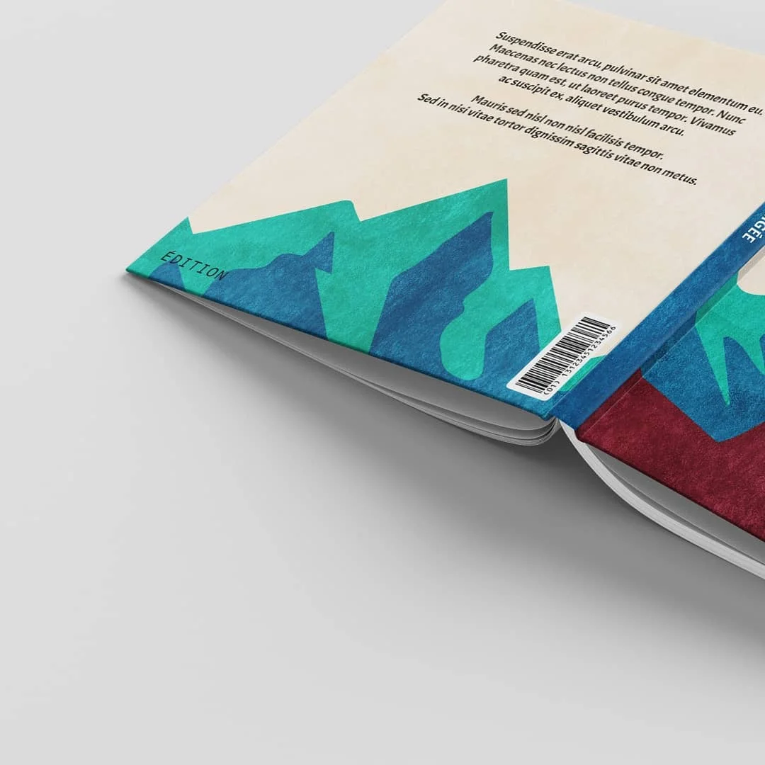 Photo 3 from Benjamin Simier’s Instagram post: FR : Projet de cours, couverture de livre pour enfants fictif.