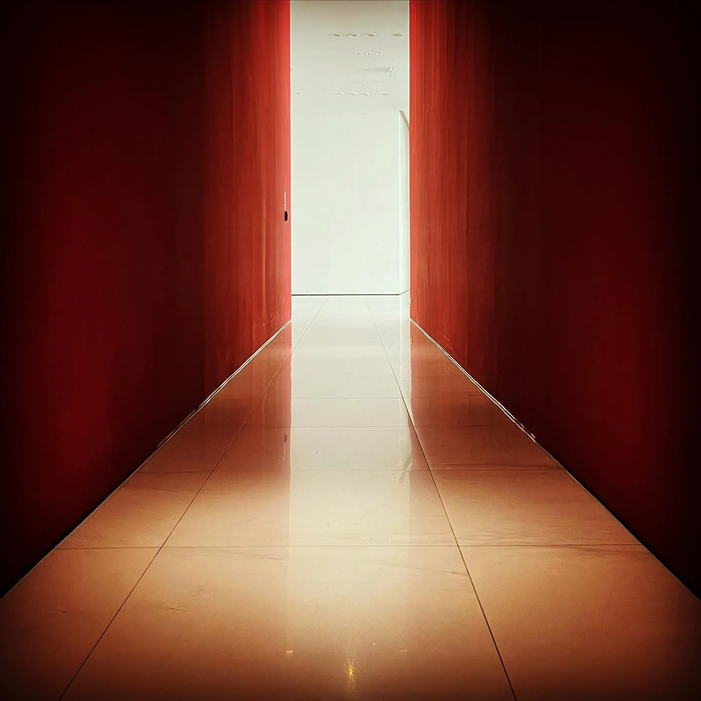 Photo 1 from Benjamin Simier’s Instagram post: The symmetry hallway