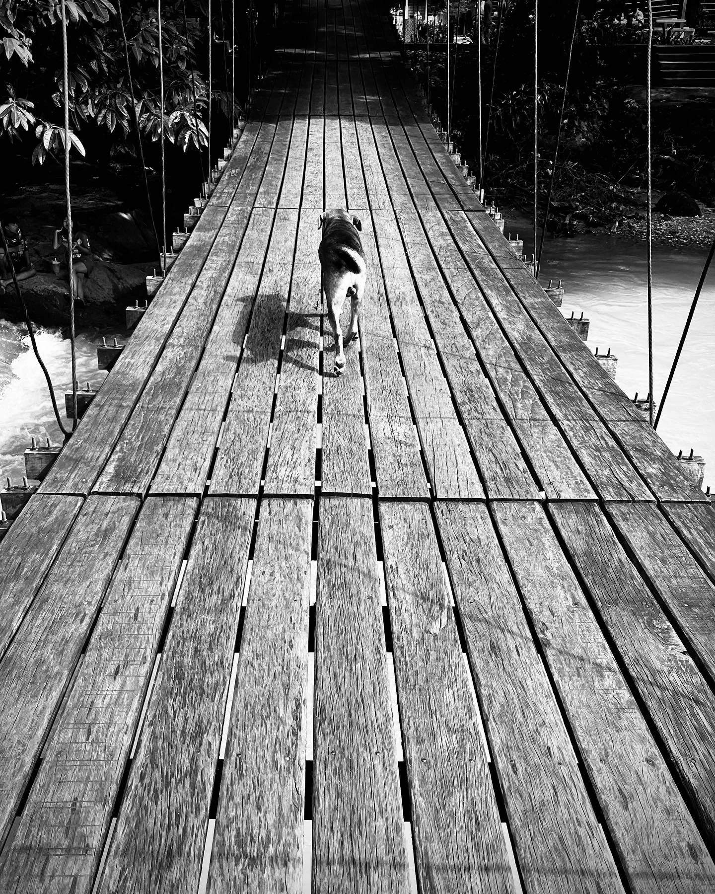 Photo 1 from Benjamin Simier’s Instagram post: On the bridge 🌉