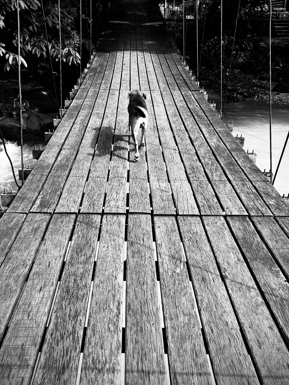Photo 1 from Benjamin Simier’s Instagram post: On the bridge 🌉