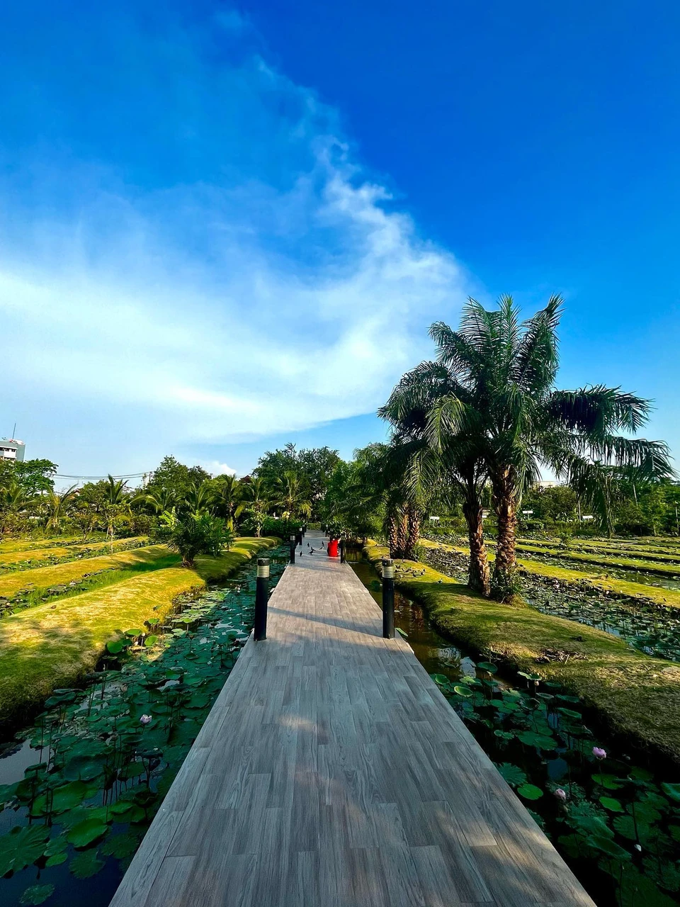 Photo 1 from Benjamin Simier’s Instagram post: Walking in a park at Bangkok 🇹🇭