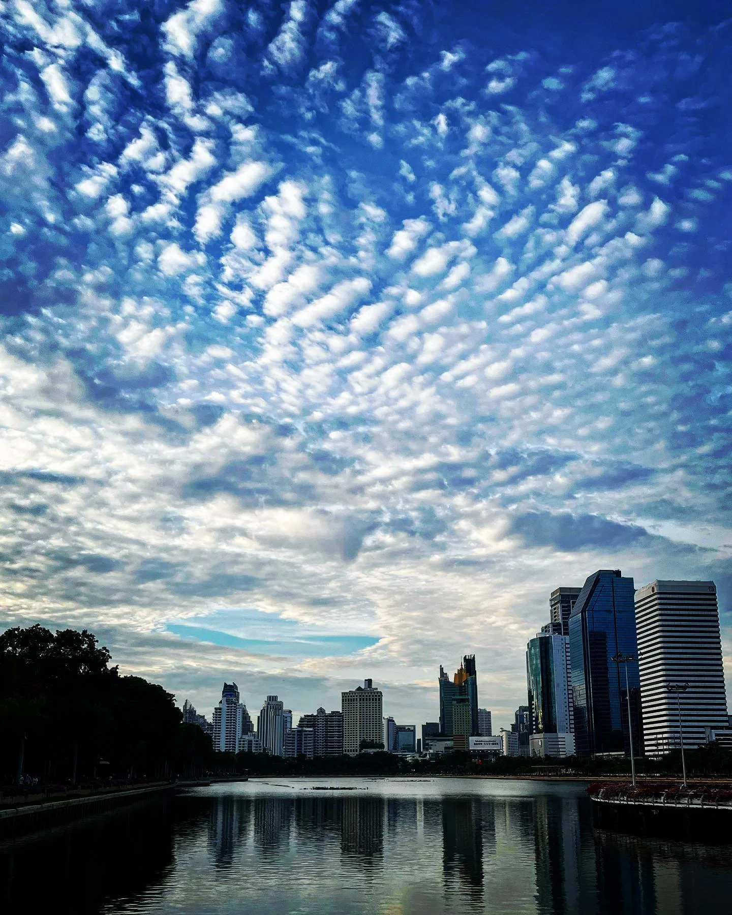Photo 1 from Benjamin Simier’s Instagram post: Lumpinee Park, Bangkok 🇹🇭