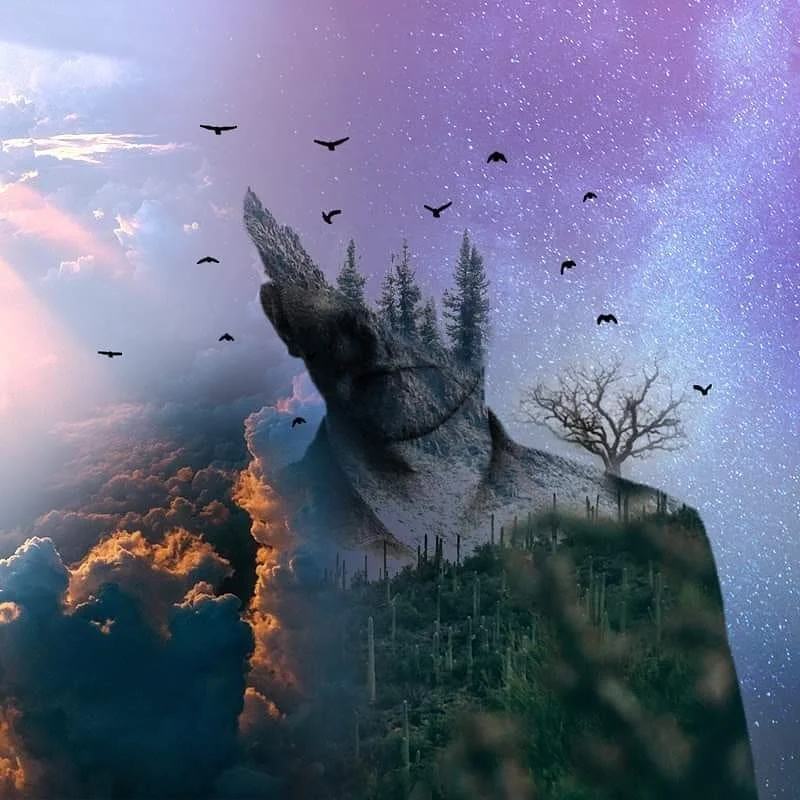 Photo 1 from Benjamin Simier’s Instagram post: Composition Photoshop