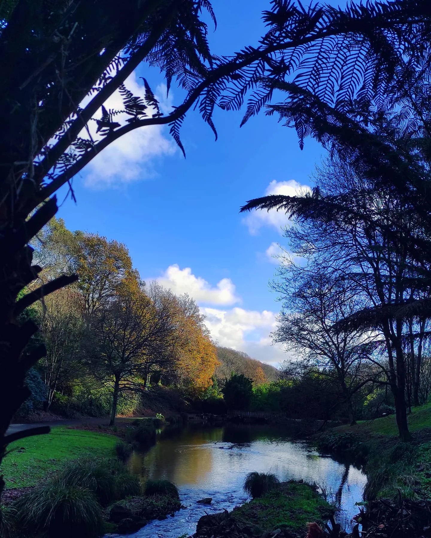 Photo 1 from Benjamin Simier’s Instagram post: Nature excursion under a beautiful blue and cloudy sky ☁️☁️