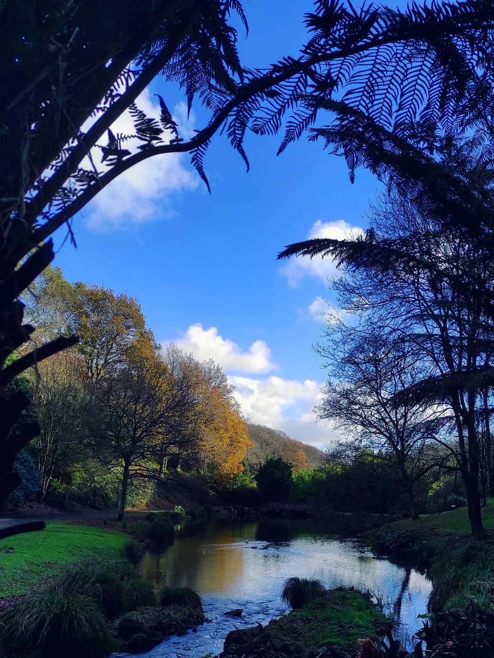Photo 1 from Benjamin Simier’s Instagram post: Nature excursion under a beautiful blue and cloudy sky ☁️☁️