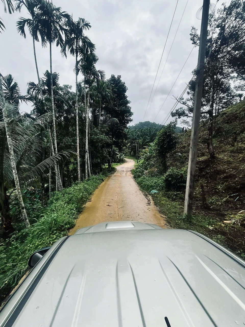 Photo 1 from Benjamin Simier’s Instagram post: Photos taken from the back of the pickup.