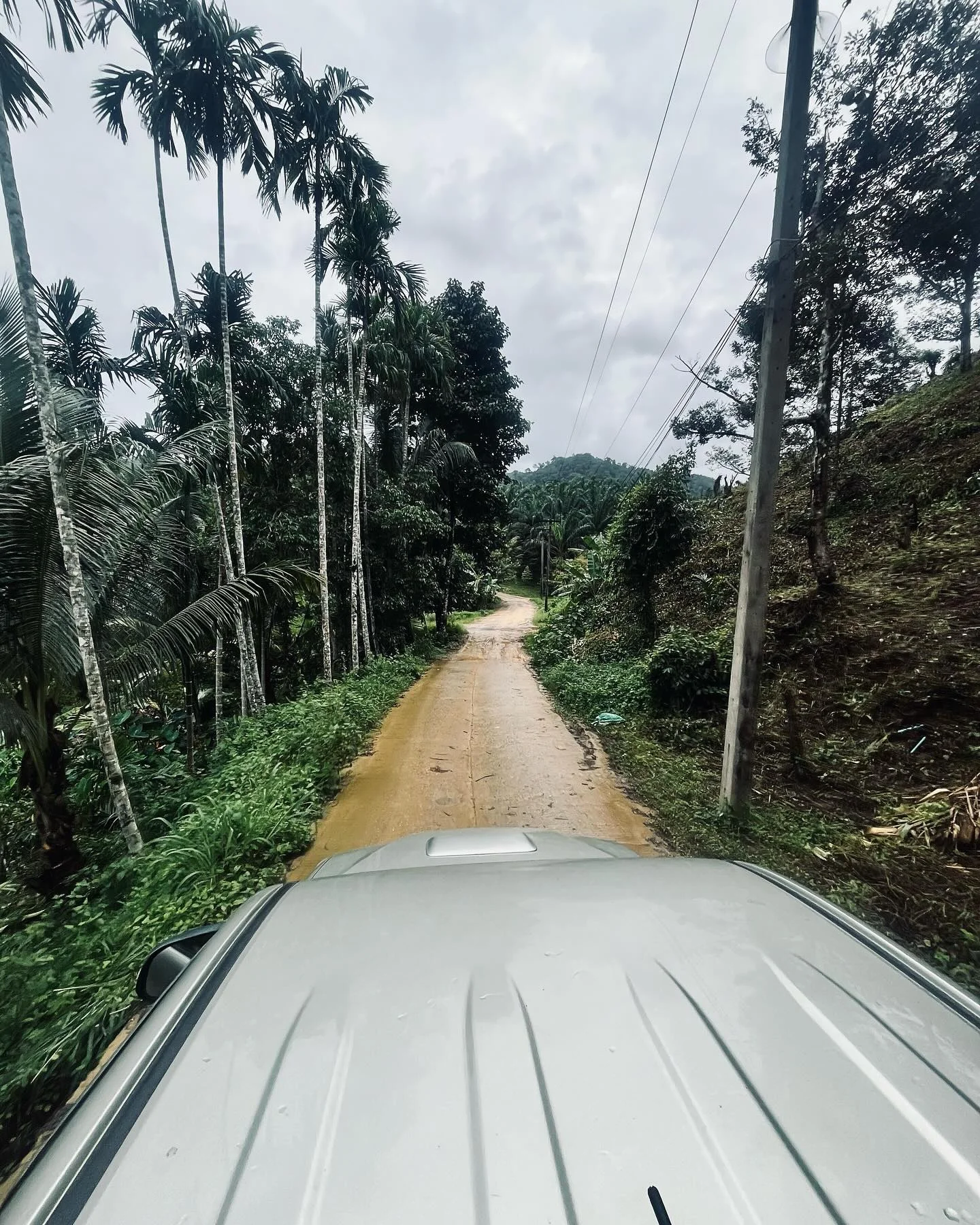 Photo 1 from Benjamin Simier’s Instagram post: Photos taken from the back of the pickup.