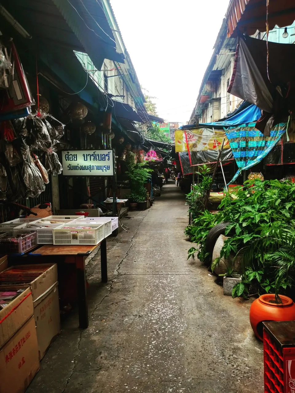 Photo 1 from Benjamin Simier’s Instagram post: Bangkok 🇹🇭