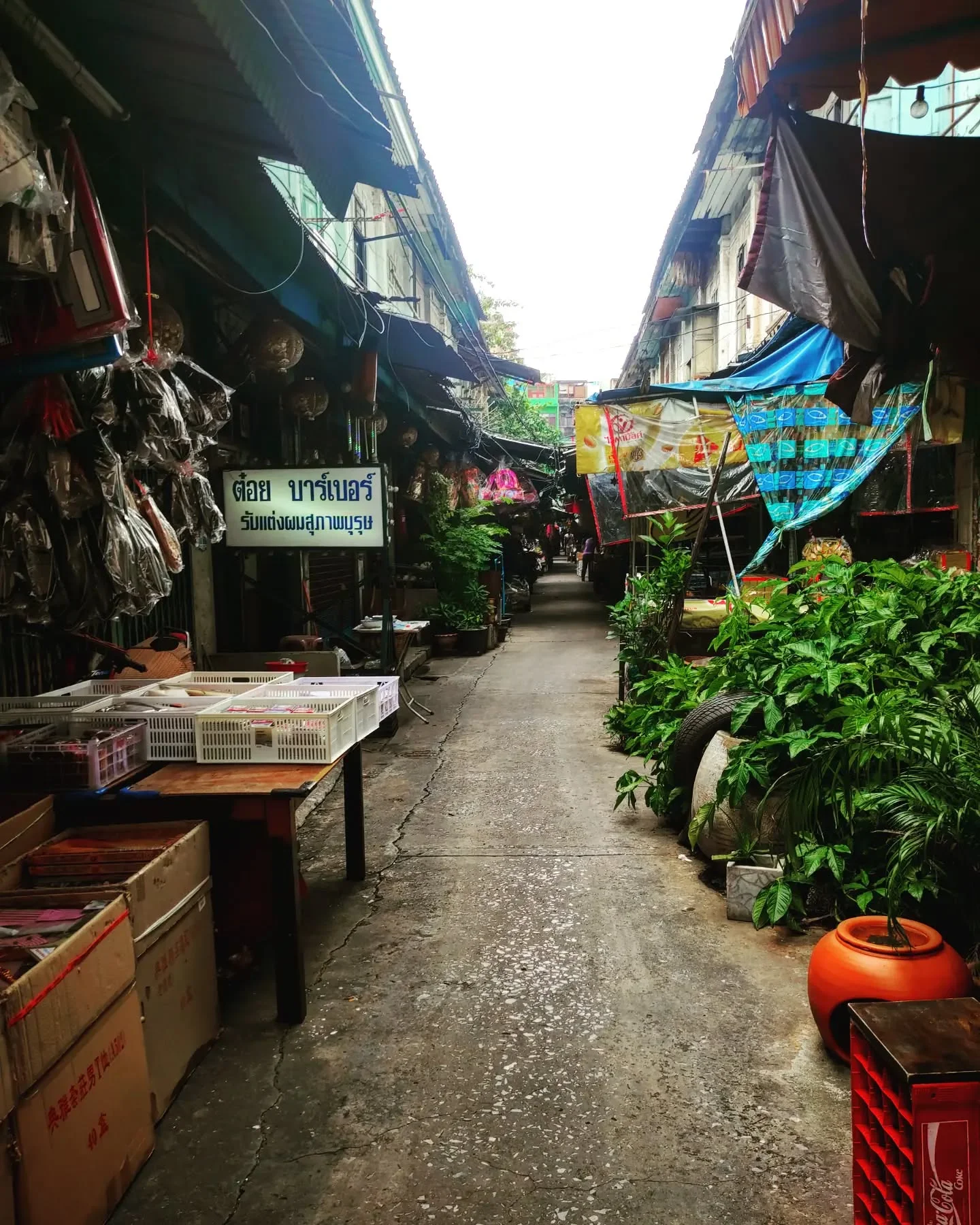 Photo 1 from Benjamin Simier’s Instagram post: Bangkok 🇹🇭