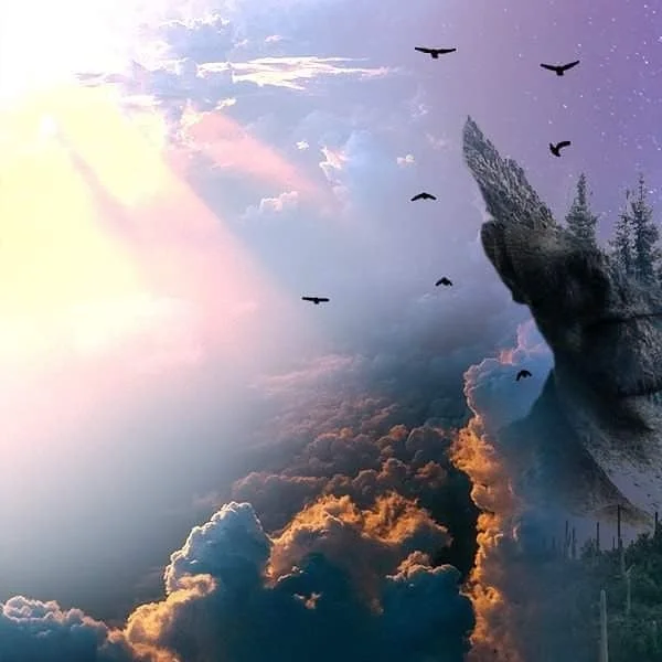 Photo 3 from Benjamin Simier’s Instagram post: Composition Photoshop