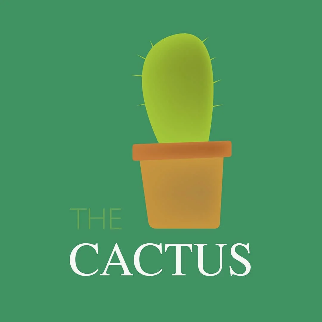 Photo 1 from Benjamin Simier’s Instagram post: Illustration Adobe illustrator d'un cactus