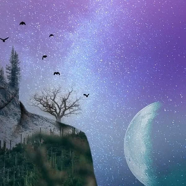 Photo 2 from Benjamin Simier’s Instagram post: Composition Photoshop