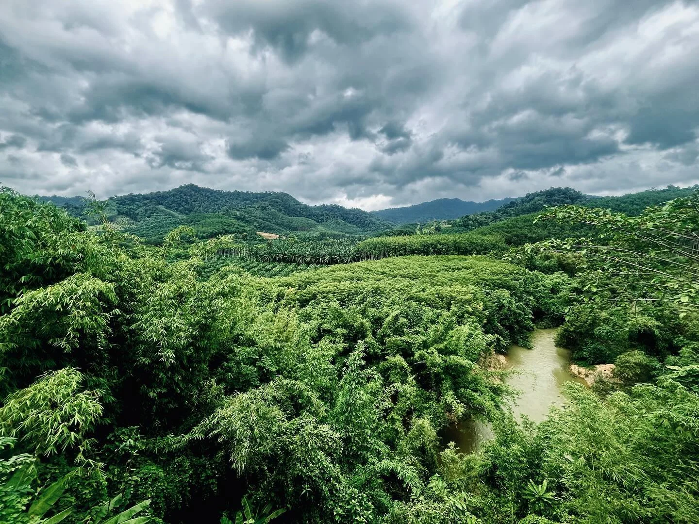 Photo 1 from Benjamin Simier’s Instagram post: Thailand jungle 🐅 🌴