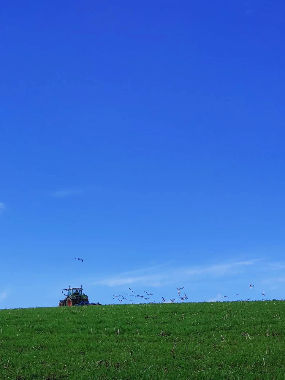 Photo 1 from Benjamin Simier’s Instagram post: Countryside field in France under a beautiful blue sky 🇫🇷🇫🇷