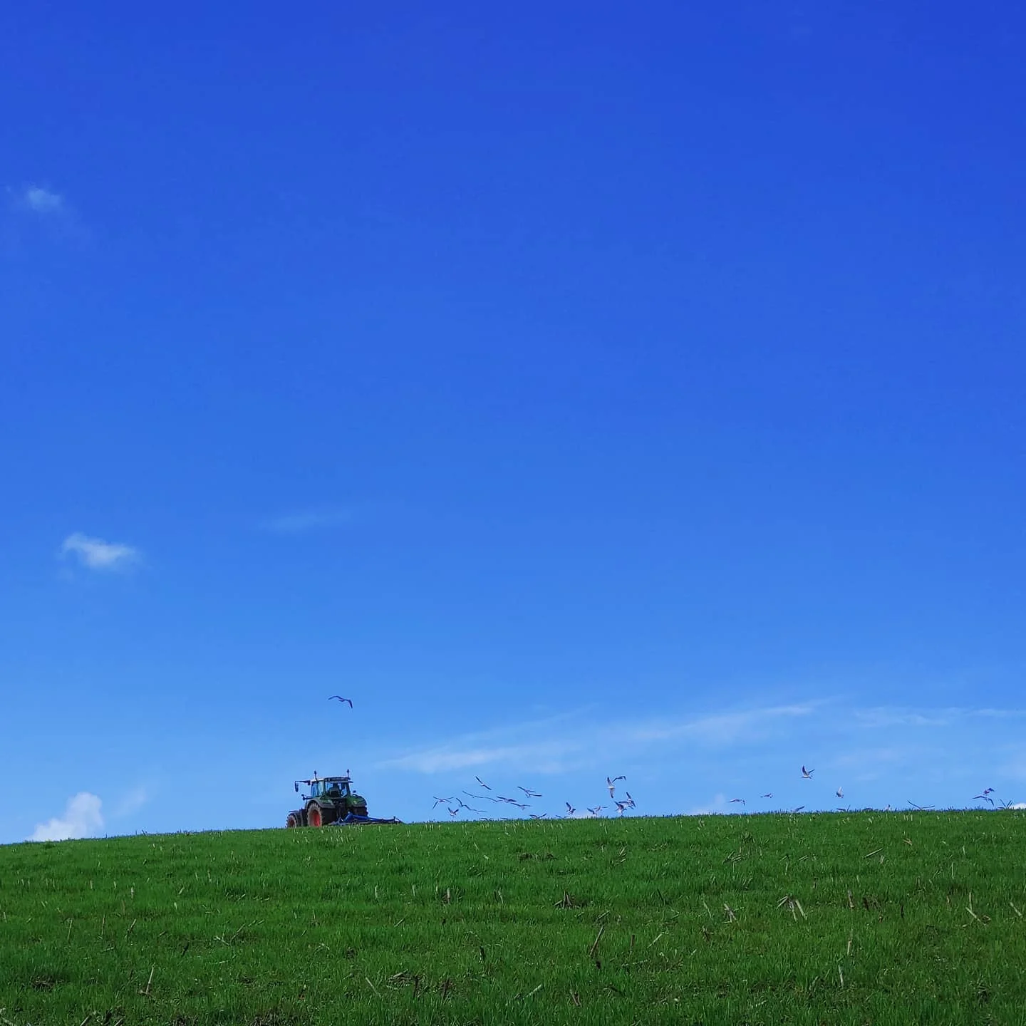 Photo 1 from Benjamin Simier’s Instagram post: Countryside field in France under a beautiful blue sky 🇫🇷🇫🇷
