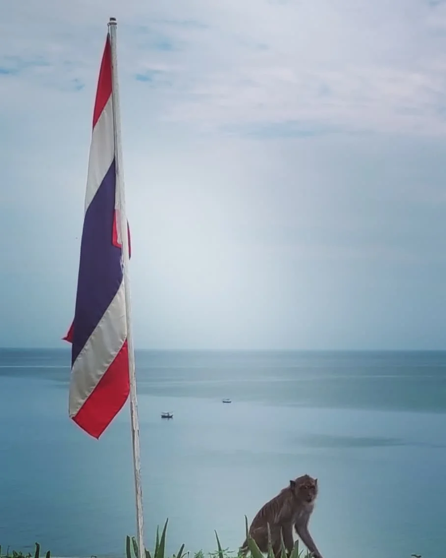 Photo 1 from Benjamin Simier’s Instagram post: Hua Hin, Thailand 🇹🇭