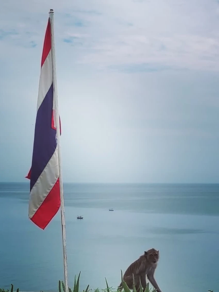Photo 1 from Benjamin Simier’s Instagram post: Hua Hin, Thailand 🇹🇭