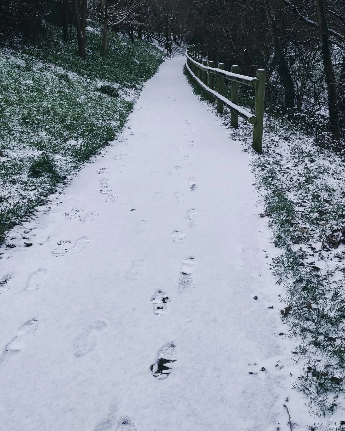 Photo 1 from Benjamin Simier’s Instagram post: Walking on snow in Bretagne, France 🌨️👣