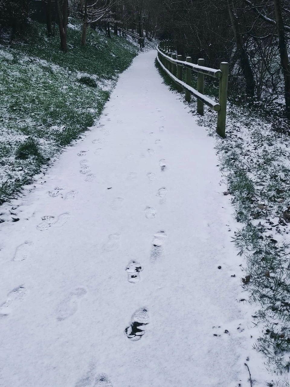 Photo 1 from Benjamin Simier’s Instagram post: Walking on snow in Bretagne, France 🌨️👣