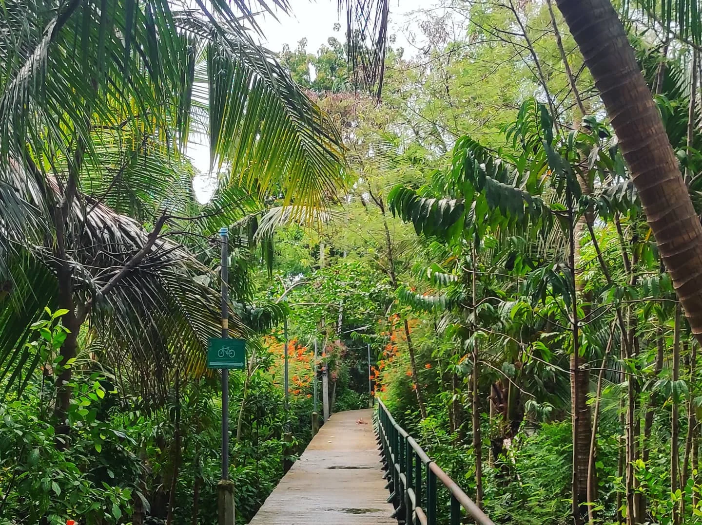 Photo 1 from Benjamin Simier’s Instagram post: Thailand 🇹🇭