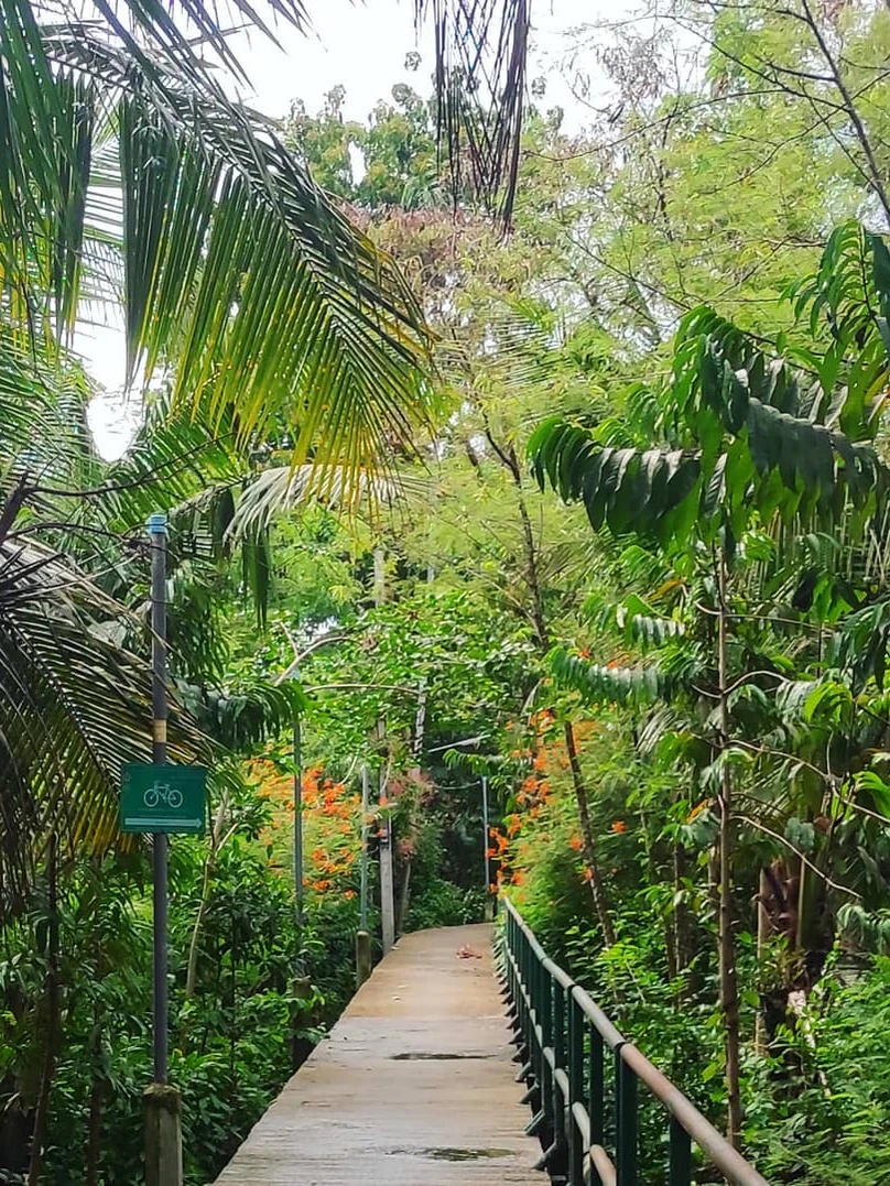 Photo 1 from Benjamin Simier’s Instagram post: Thailand 🇹🇭