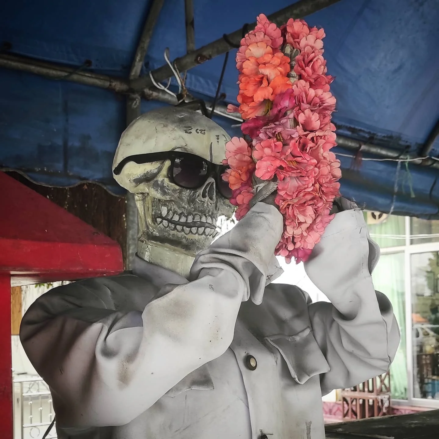 Photo 1 from Benjamin Simier’s Instagram post: Bangkok 💀 🇹🇭