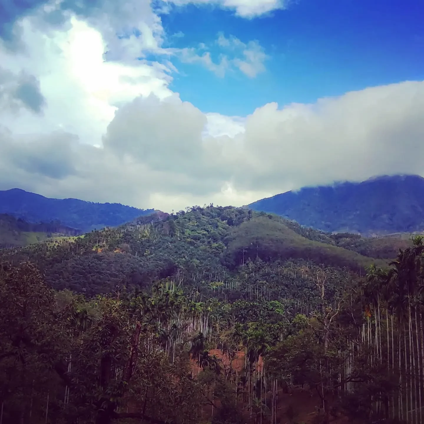 Photo 1 from Benjamin Simier’s Instagram post: Garden view, Ranong, Thailand 🇹🇭